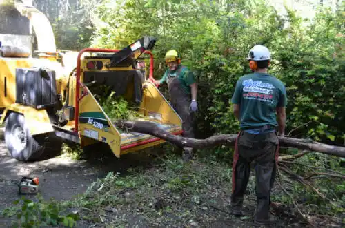 tree services Napaskiak